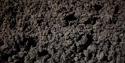 Sustainability and sewage sludge recycling