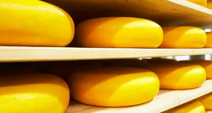 Wastewater treatment, food industry